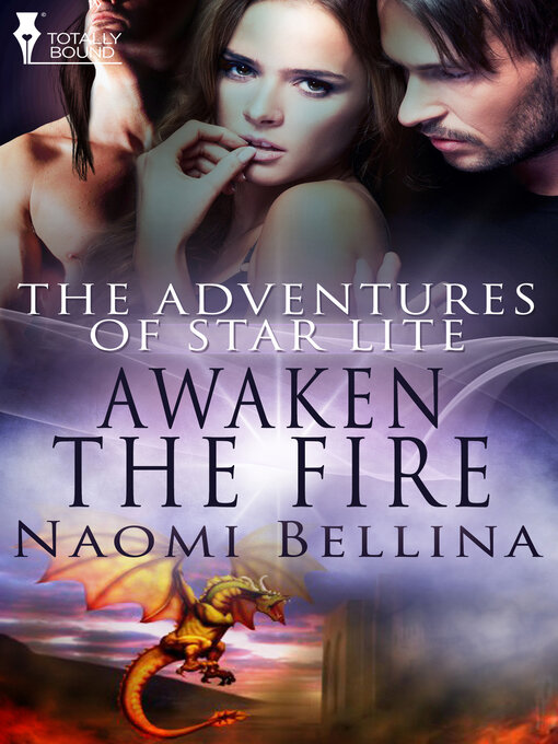 Title details for Awaken the Fire by Naomi  Bellina - Available